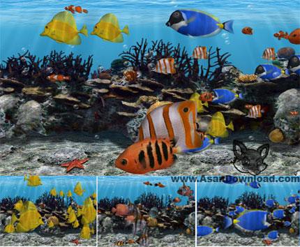 محافظ صفحه نمايش 3D Fish School Screensaver 3.92