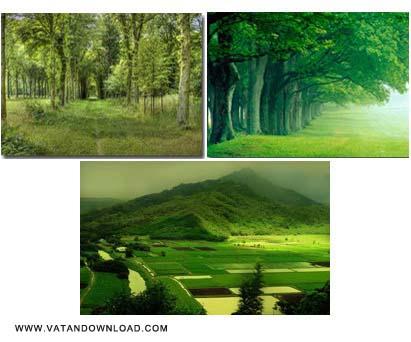 تصاویر پس زمینه طبیعت با کیفیت بالا Green Wallpapers