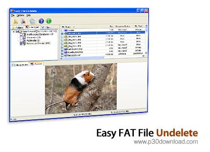 بازیابی فایل های پاک شده توسط Easy FAT File Undelete 2.5