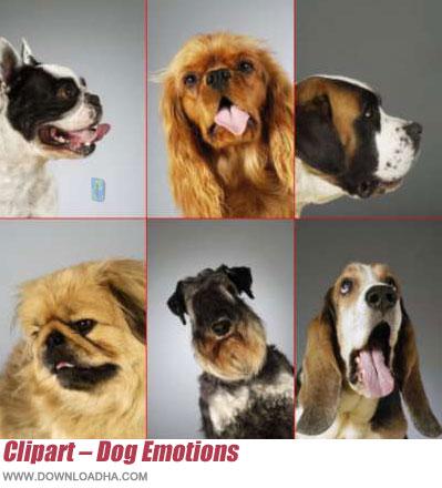 مجموعه تصاویری با عنوان Dog Emotions