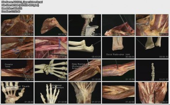 دانلود مجموعه کامل Atlas of Human Anatomy Pack آناتومی بدن انسان