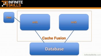 Learning Oracle 11g Real Application Clusters