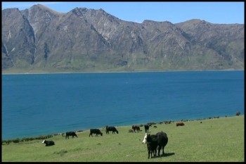 New Zealand The Forgotten Paradise2.download.ir