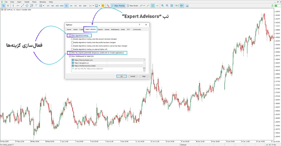 بخش Expert Advisors برای فعالسازی اندیکاتور مفاهیم اسمارت مانی