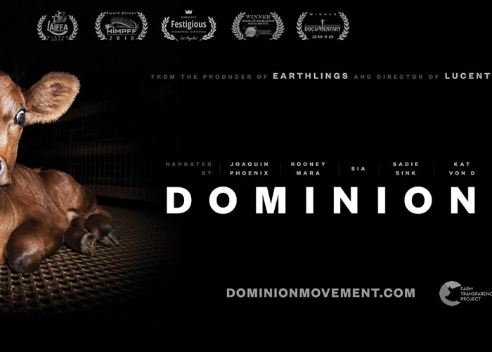 مستند قلمرو-Dominion