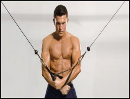 Muscle Fitness Training System.www.download.ir