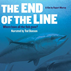 The End Of The Line 2009