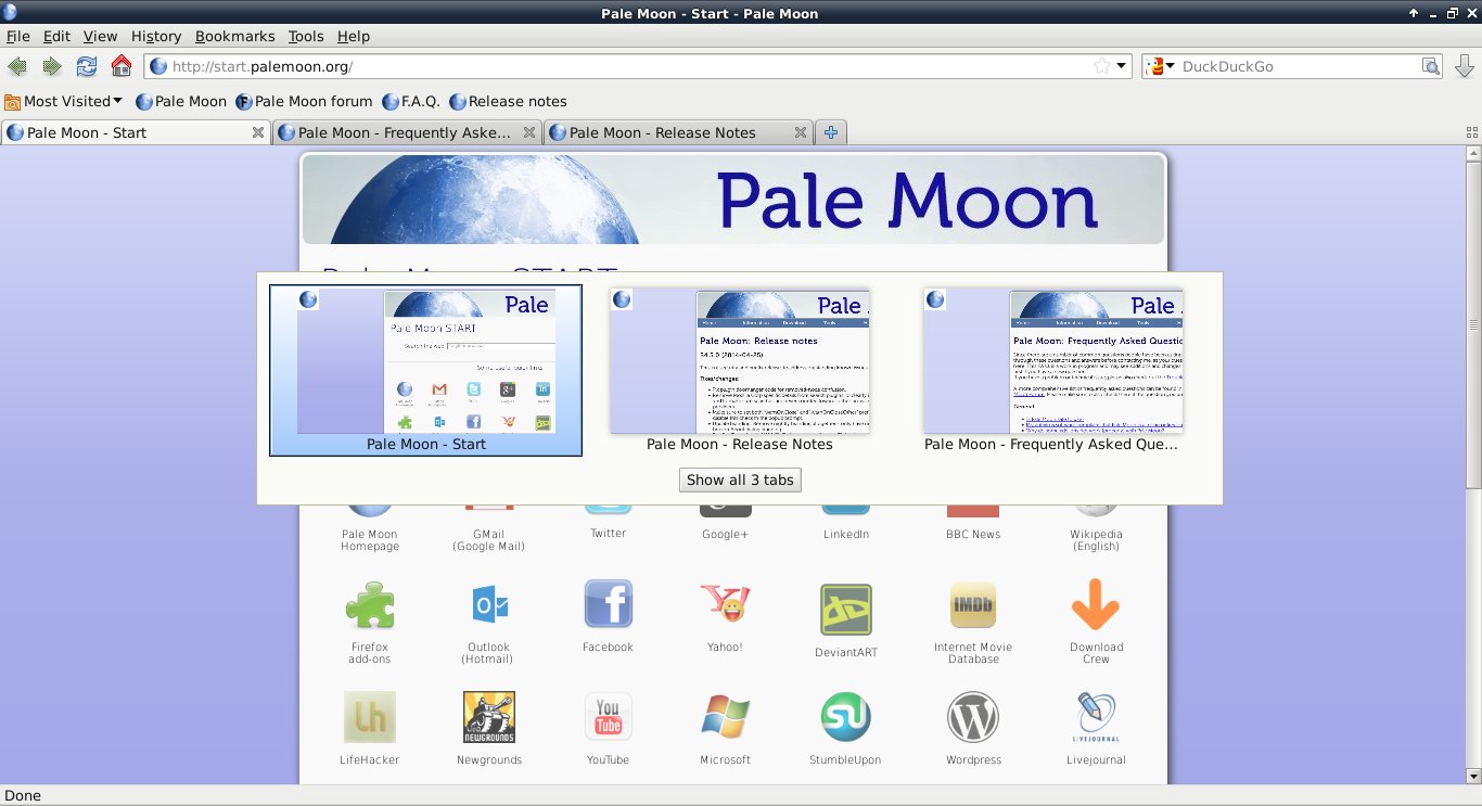 free download Pale Moon 32.4.0.1