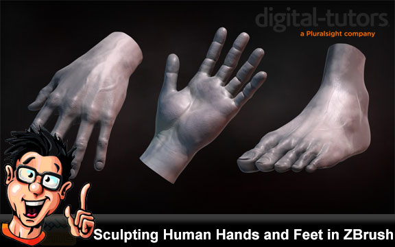 دانلود فیلم آموزشی Sculpting Human Hands and Feet in ZBrush