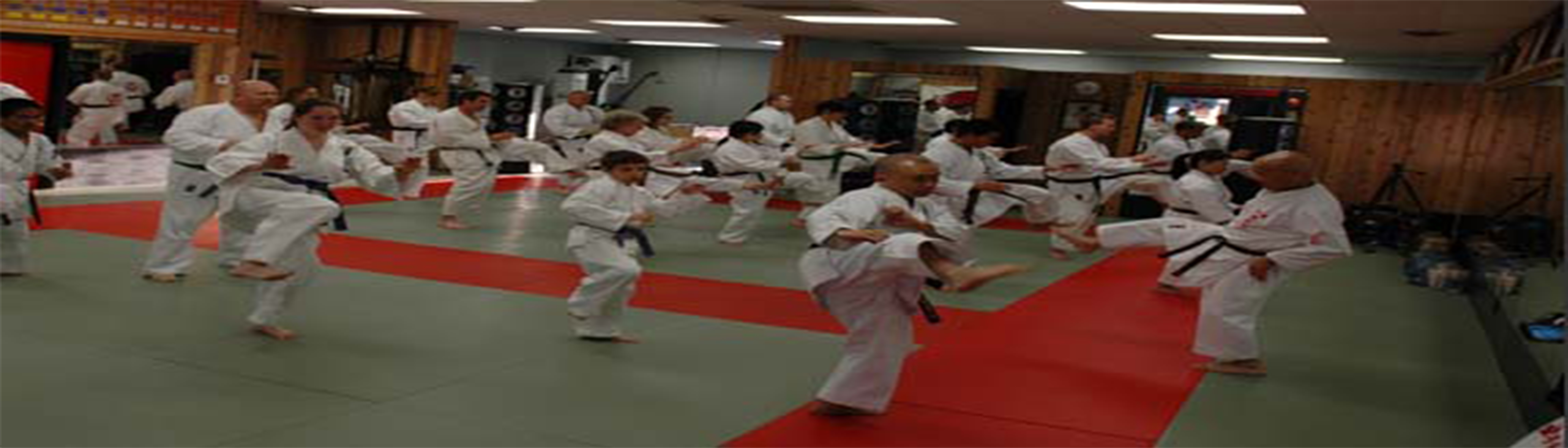 دانلود فیلم مستند The Spirit of Okinawan Karate