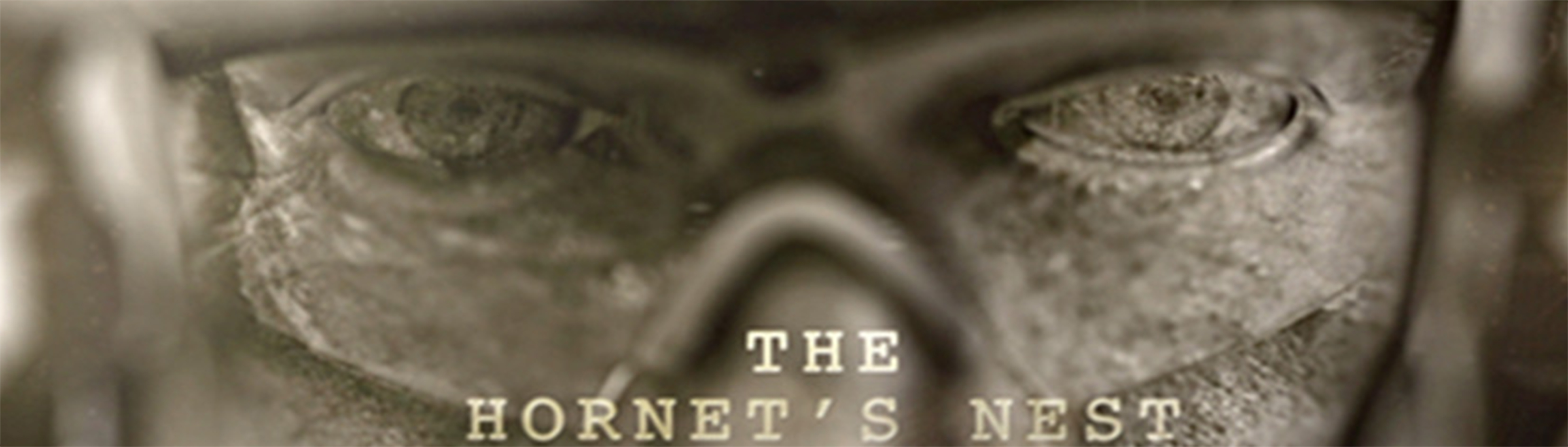 دانلود فیلم مستند The Hornets Nest