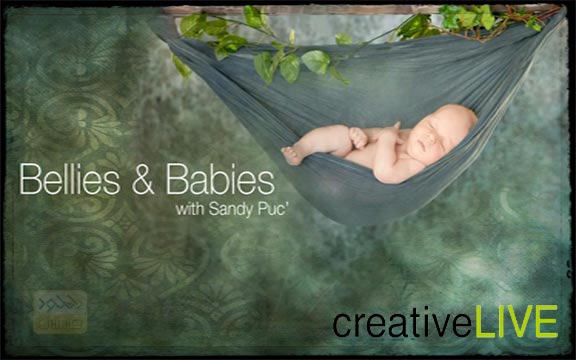 دانلود فیلم آموزشی Bellies and Babies Photography