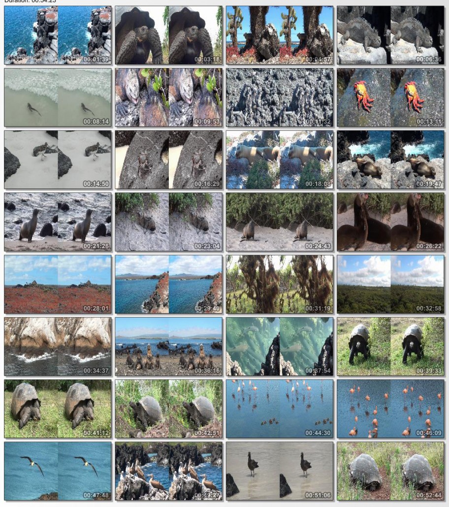 دانلود فیلم مستند Fascination Galapagos 3D 2012