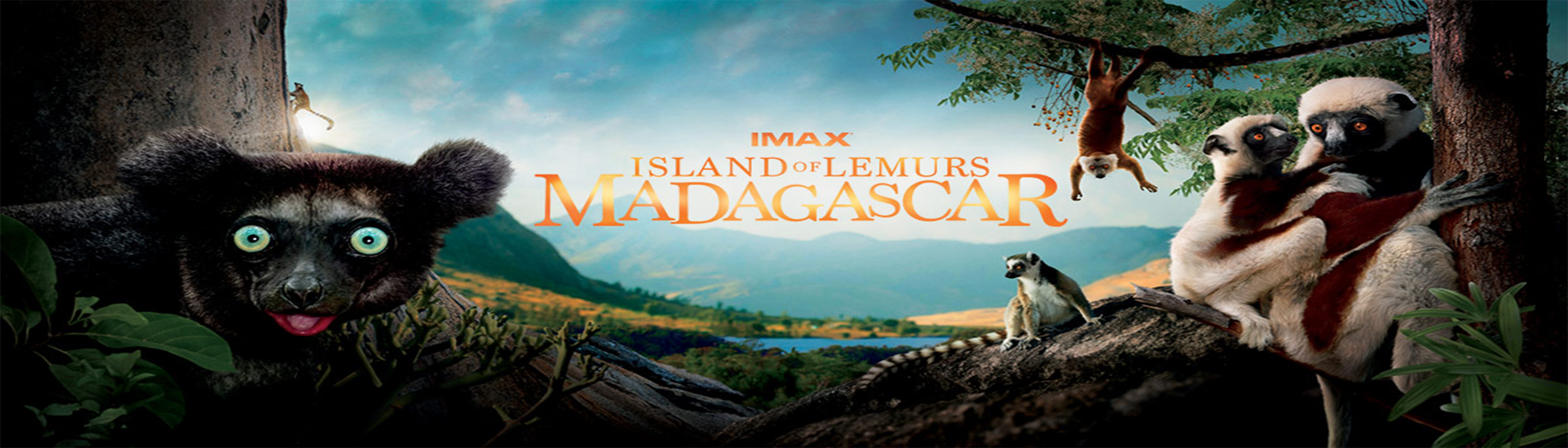 دانلود فیلم مستند Island of Lemurs Madagascar