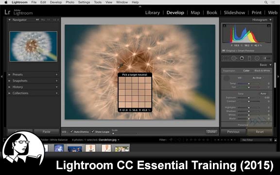 دانلود فیلم آموزشی Lightroom CC Essential Training 2015