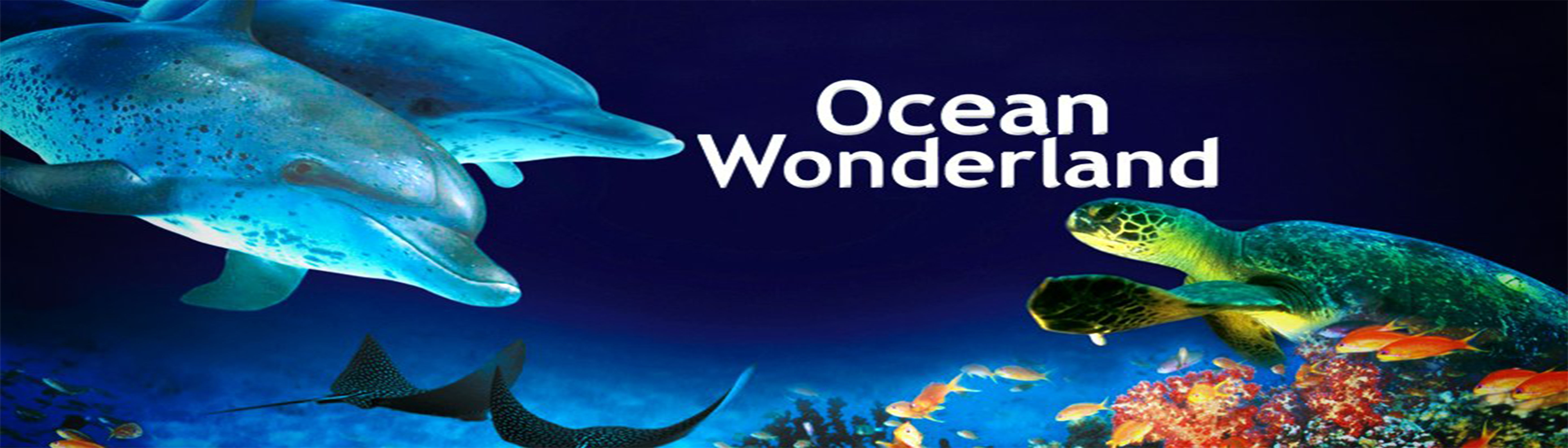 دانلود فیلم مستند Ocean Wonderland 2003