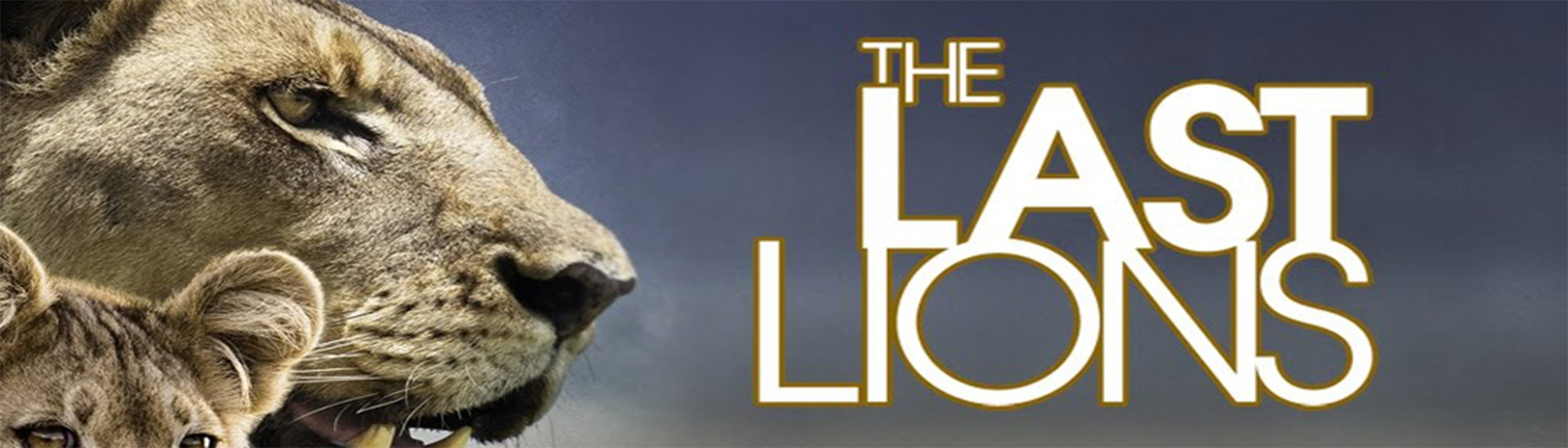 دانلود فیلم مستند The Last Lions 2011