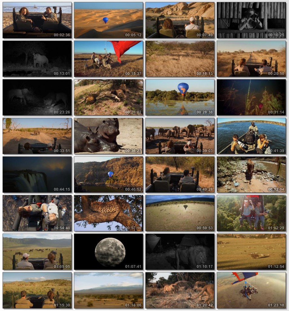 دانلود فیلم مستند African Safari 2013