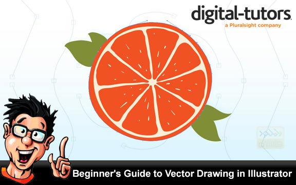 دانلود فیلم آموزشی Beginners Guide to Vector Drawing in Illustrator
