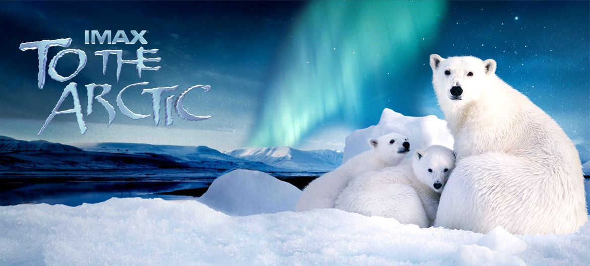 دانلود فیلم مستند To the Arctic 2012