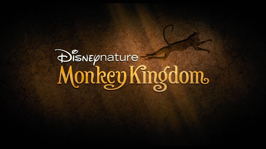 دانلود فیلم مستند Monkey Kingdom 2015
