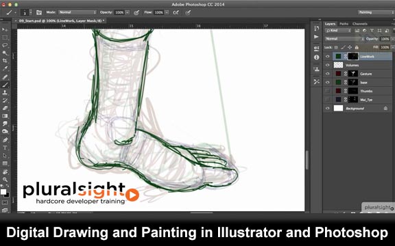 دانلود فیلم آموزشی Digital Drawing and Painting in Illustrator and Photoshop