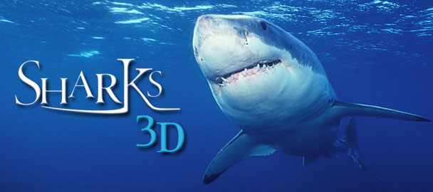 دانلود فیلم مستند Sharks 3D 2004