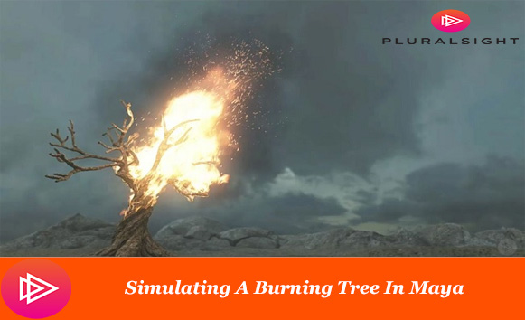 دانلود فیلم آموزشی Simulating A Burning Tree In Maya