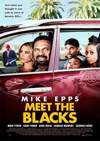 دانلود فیلم سینمایی Meet the Blacks 2016