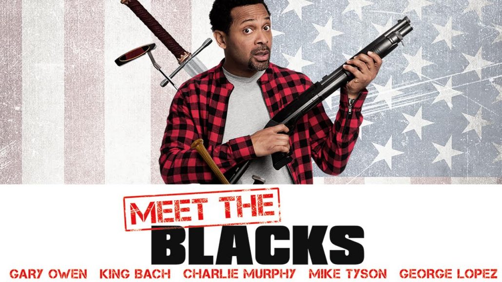 دانلود فیلم سینمایی Meet the Blacks 2016