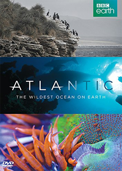 دانلود فیلم مستند Atlantic The Wildest Ocean on Earth 2015