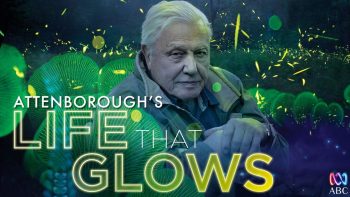 دانلود فیلم مستند Attenboroughs Life That Glows 2016