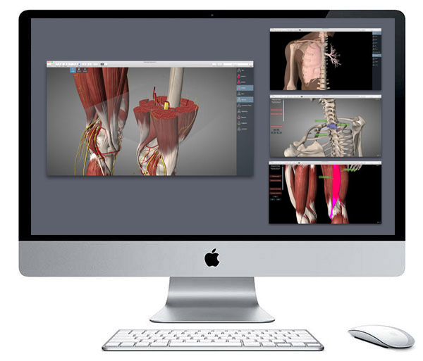 دانلود نرم افزار آناتومی بدن انسان برای مک Essential Anatomy