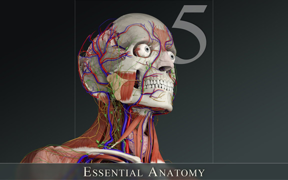 دانلود نرم افزار Essential Anatomy 5 v4.0 برای آیفون و آیپد