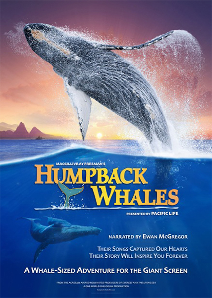دانلود فیلم مستند Humpback Whales 2015