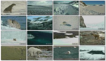دانلود مستند Wild Canada با کیفیت HDTV 720p