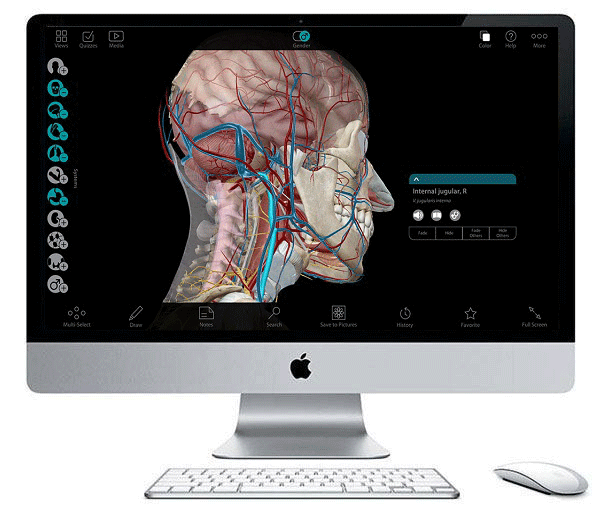 دانلود نرم افزار آناتومی بدن انسان برای مک Human Anatomy Atlas