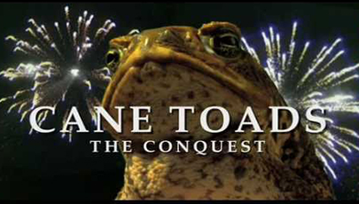دانلود فیلم مستند Cane Toads The Conquest 2010 با کیفیت 720p BluRay