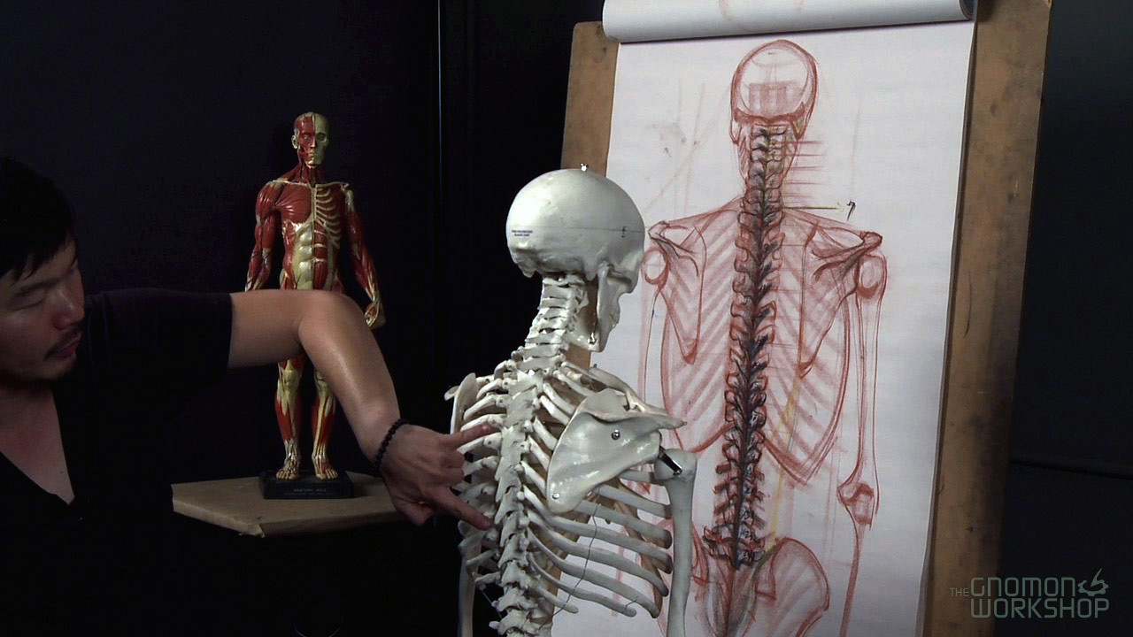Anatomy.Workshop-Image2-www.download.ir