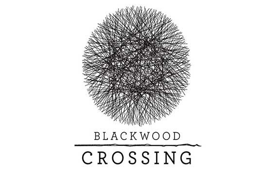 دانلود بازی کامپیوتر Blackwood Crossing نسخه Reloaded + آپدیت 20170505
