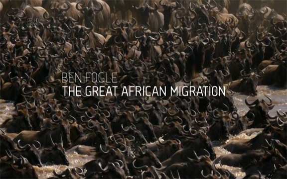 دانلود مستند سریالی The Great African Migration