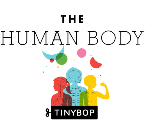 دانلود بازی آموزشی The Human Body by Tinybop v3.0.1 برای آيفون ، آيپد و آيپاد لمسی