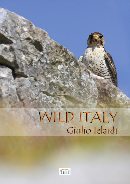 دانلود مستند دنیای وحش ایتالیا Wild Italy نسخه کامل
