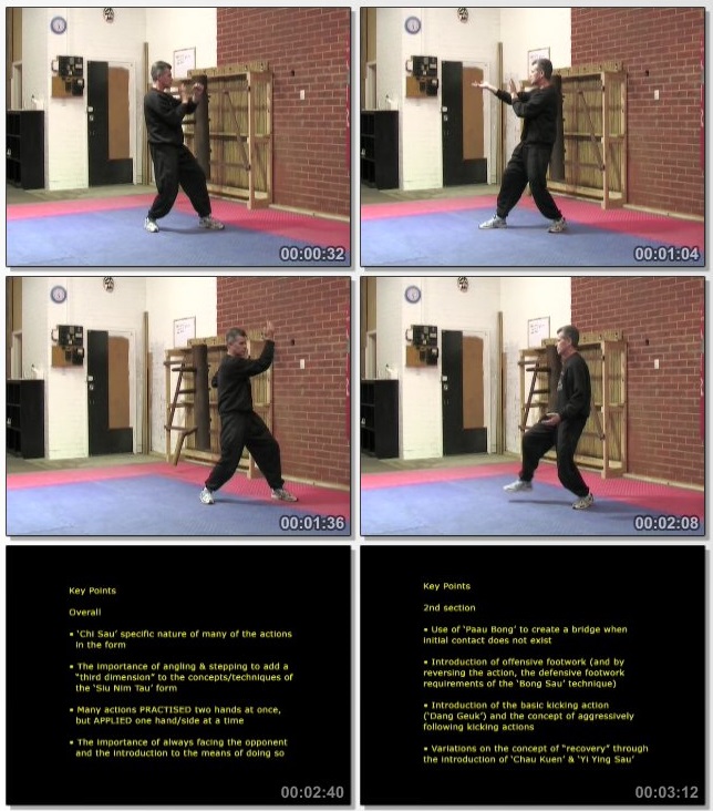 دانلود دوره آموزشی Wing Chun. David Peterson Chum Kiu Seminar