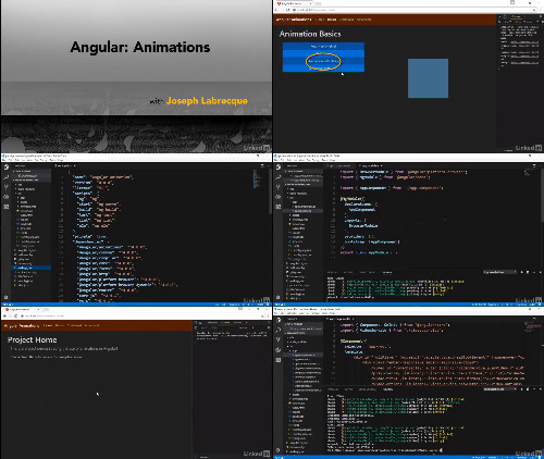 Angular Animations center