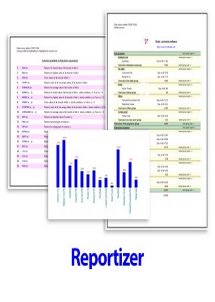 دانلود نرم افزار Reportizer v6.0.0.118 – Win