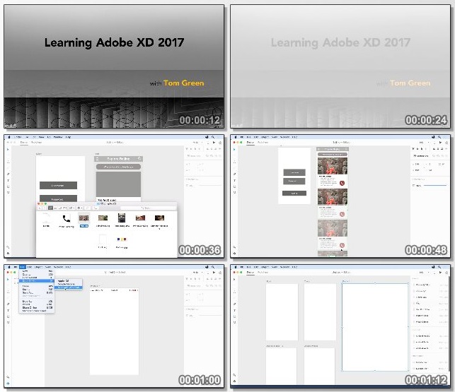 دانلود فیلم آموزشی Learning Adobe XD از Lynda