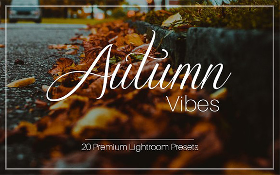 دانلود پریست Autumn Vibes برای Lightroom