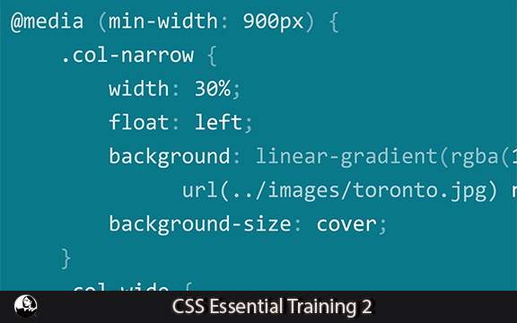 دانلود فیلم آموزشی CSS Essential Training 2