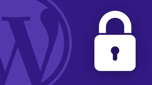 دانلود فیلم آموزشی Tutsplus – WordPress Secure Setup Guide